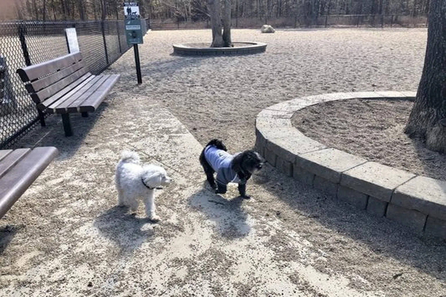 Mashpee Dog Park - Coming Soon in Mashpee, Massachusetts
