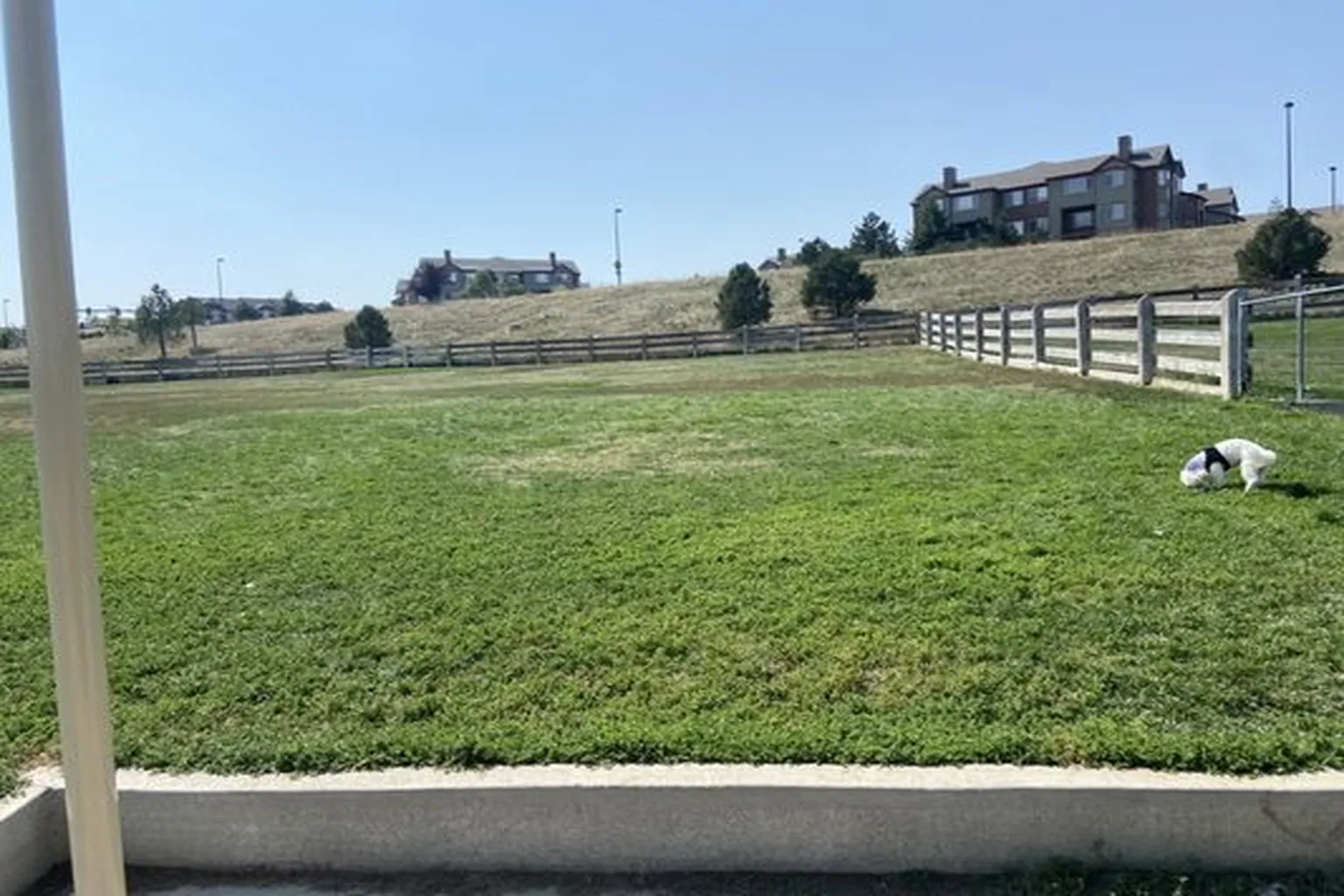 Fairgrounds Regional Dog Park in Castle Rock, Colorado