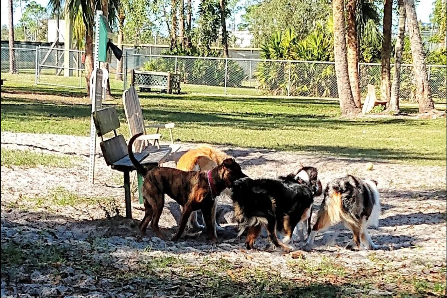 Rover Run Dog Park (At Veterans Community Park) in Naples, Florida - Main Image