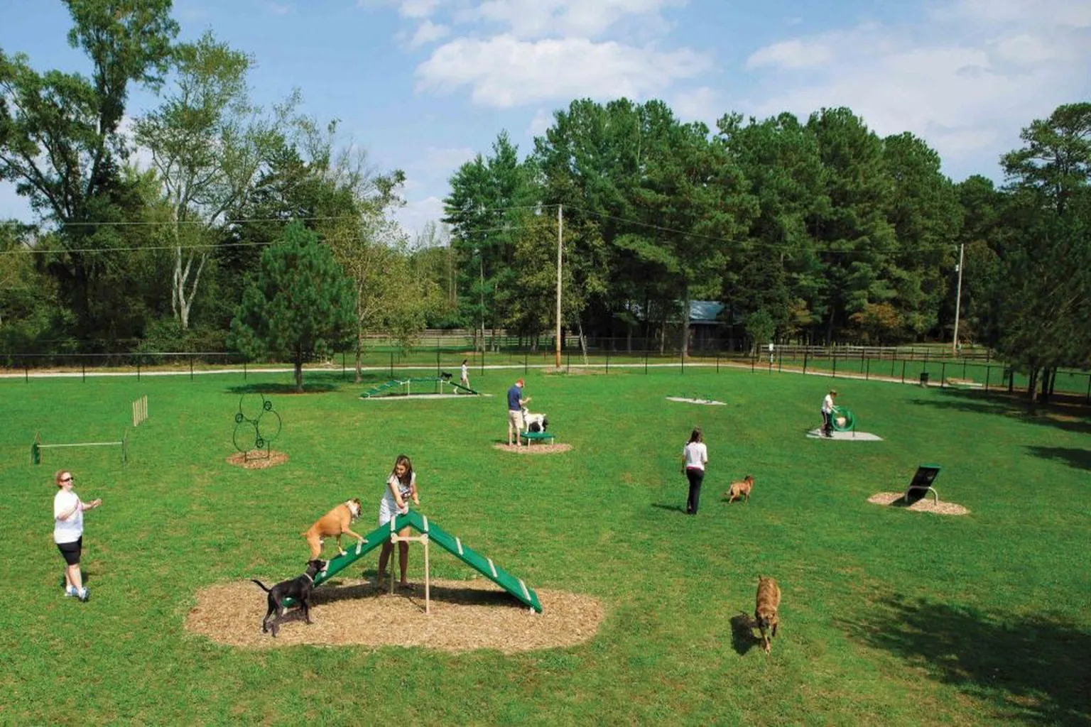Best Friends Canine Country Club - Coming Soon in New Franklin, Ohio