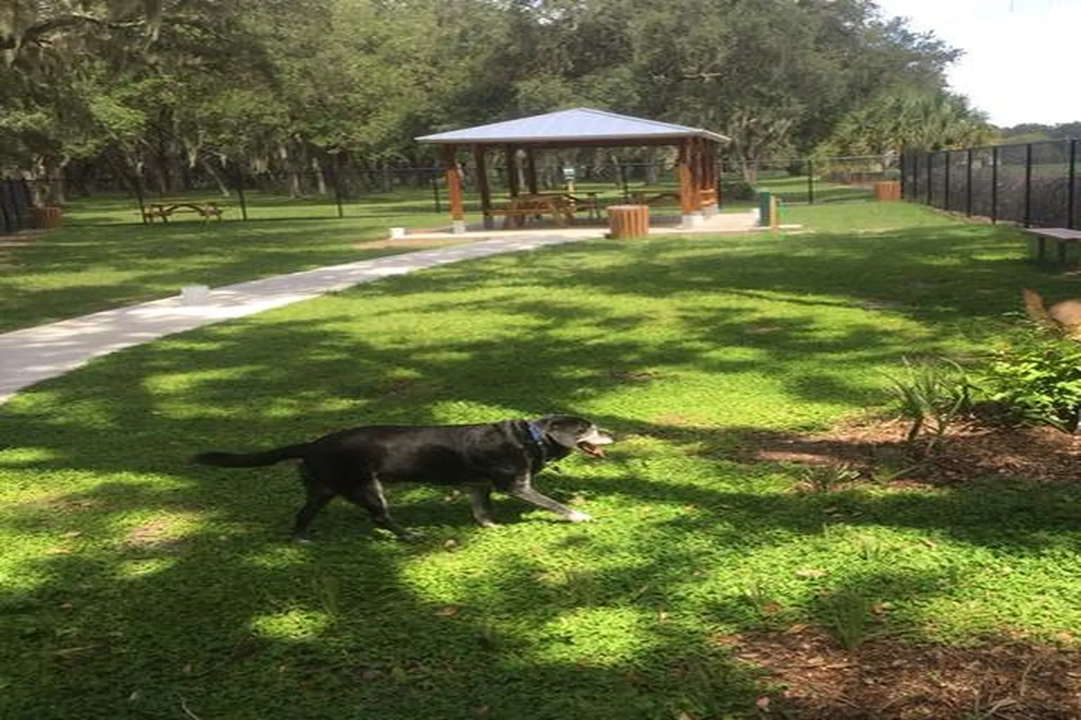 Happy Tails Dog Park (At G.T. Bray Park) in Bradenton, Florida