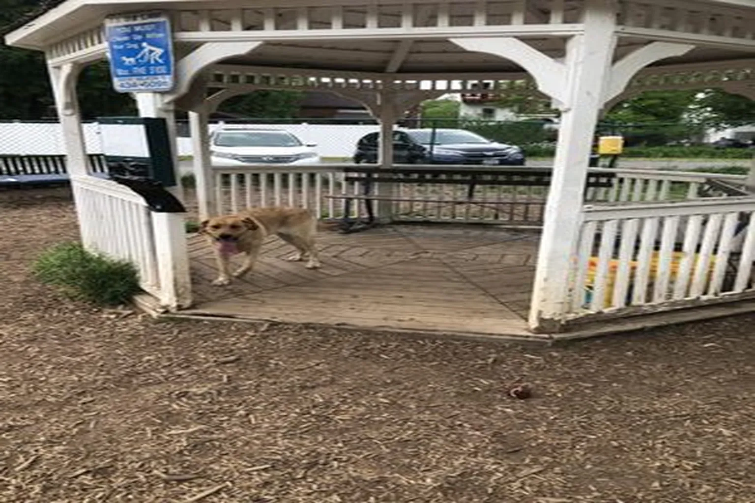 Hartman Road Dog Park in Albany, New York