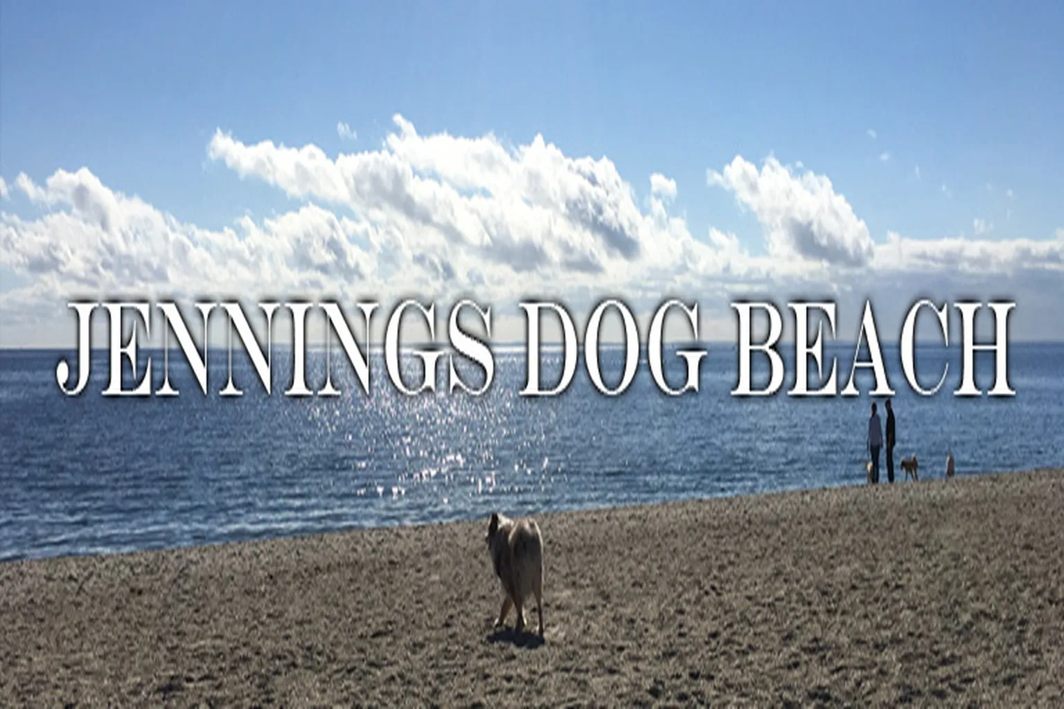 Jennings Dog Beach in Fairfield, Connecticut