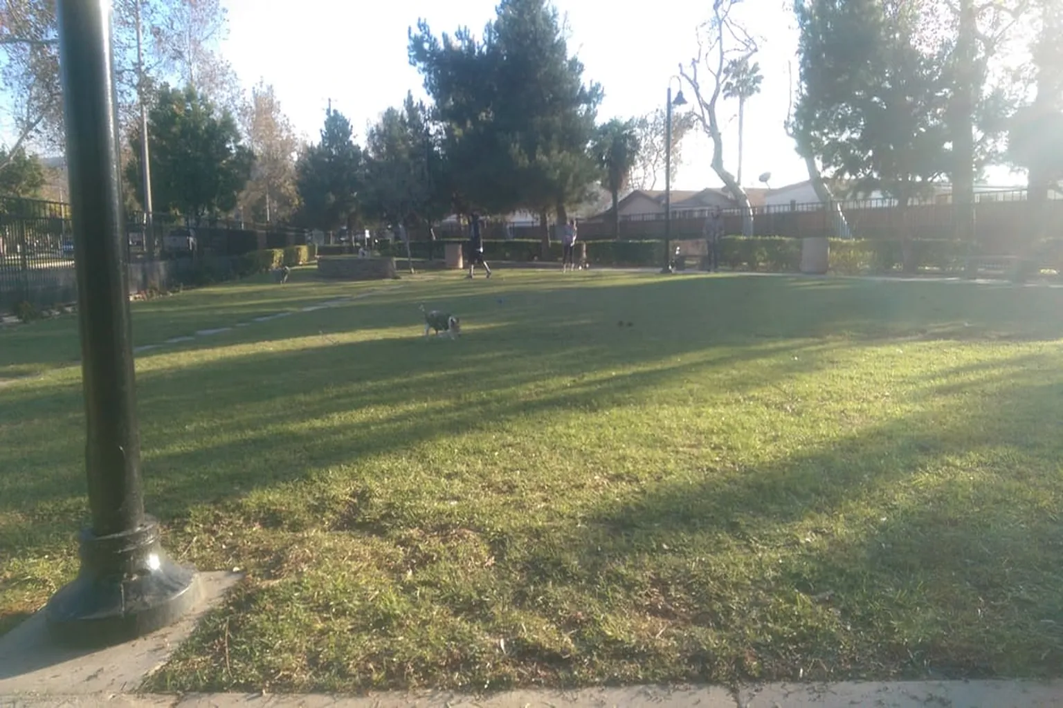 Riverwalk Dog Park in Riverside, California