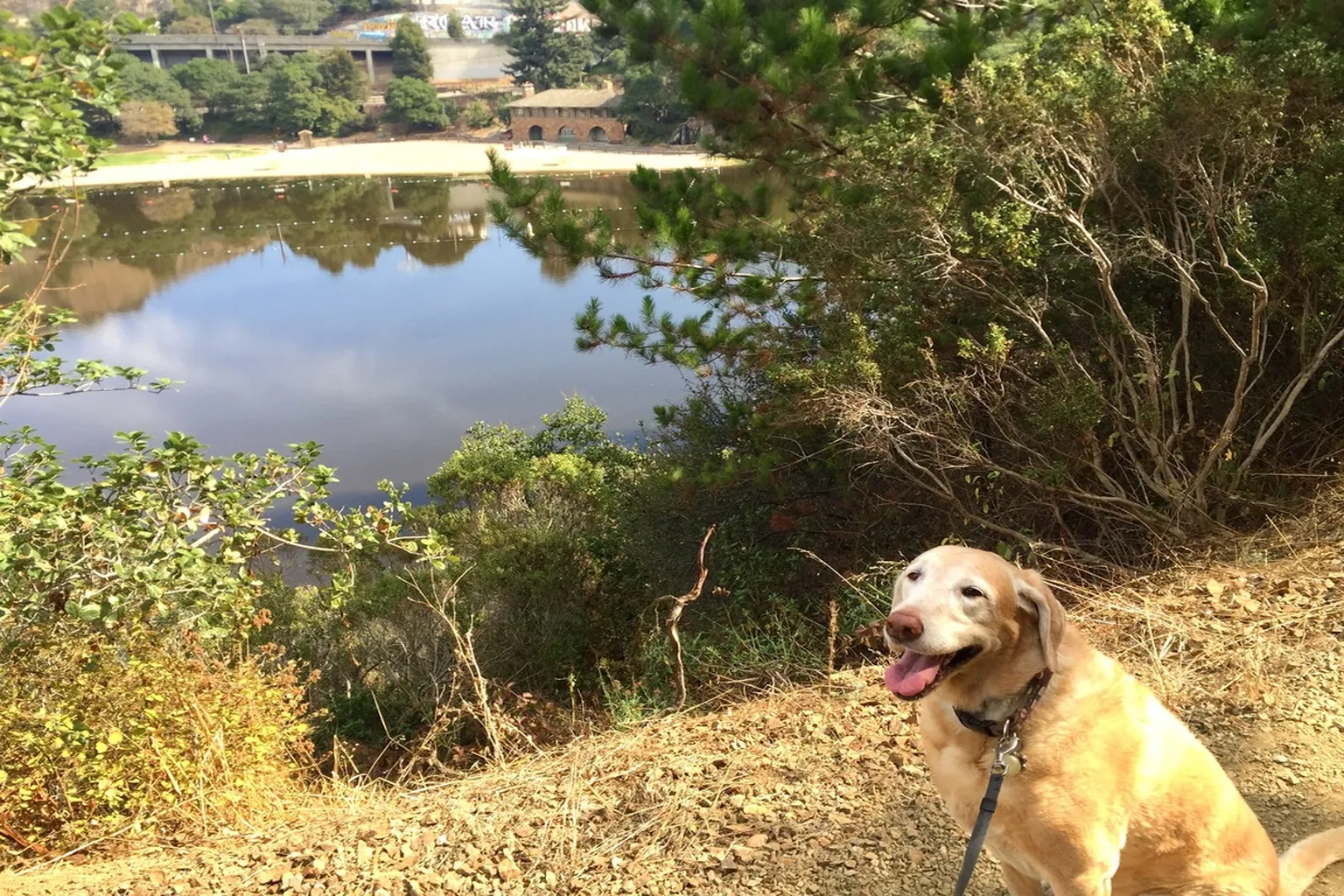 Temescal Regional Park in Oakland, California