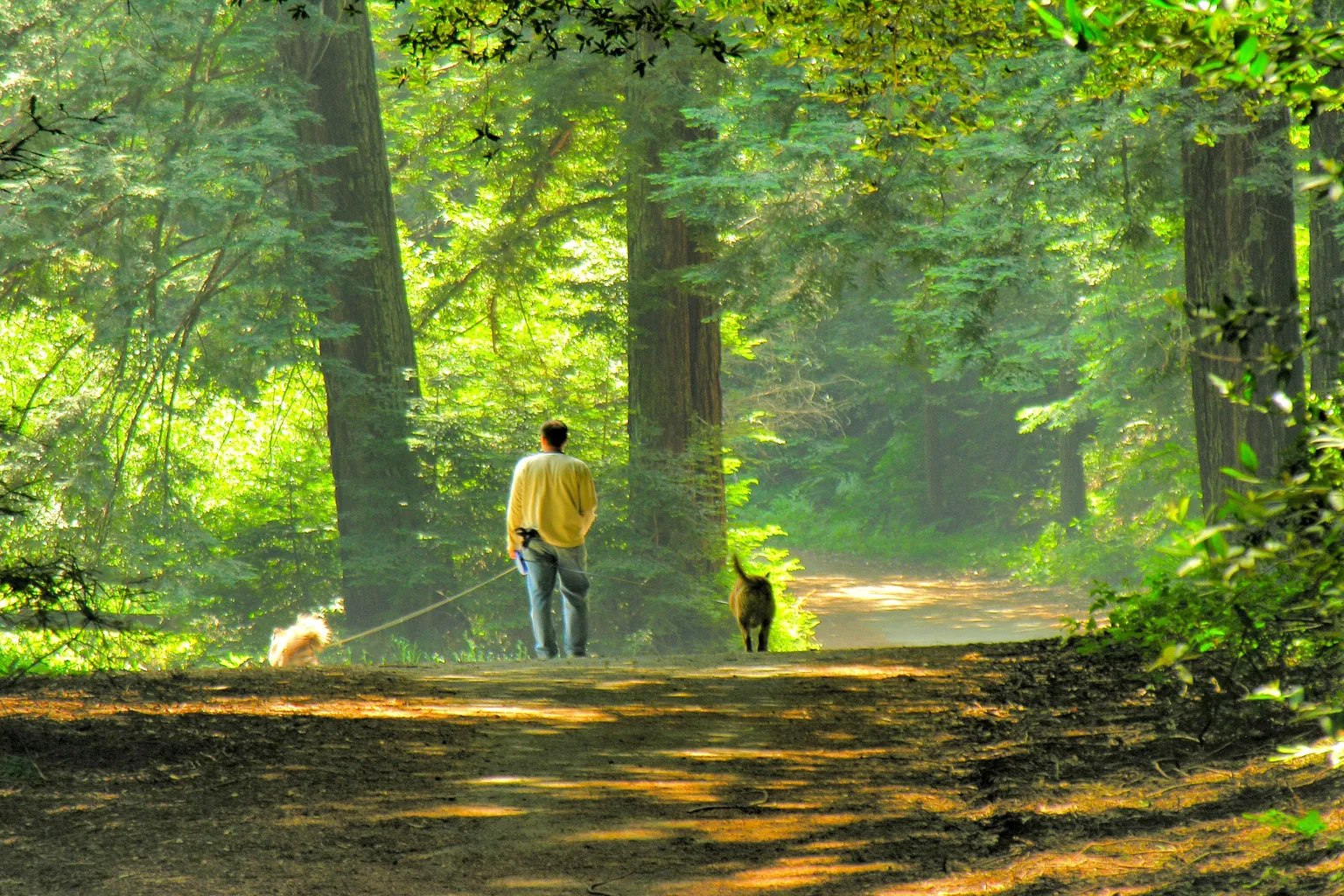 Redwood Regional Park in Oakland, California
