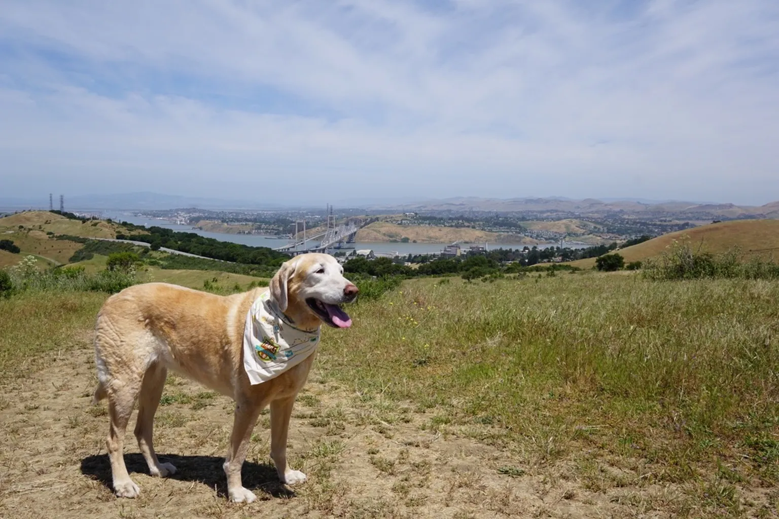 Crockett Hills Regional Park in Crockett, California