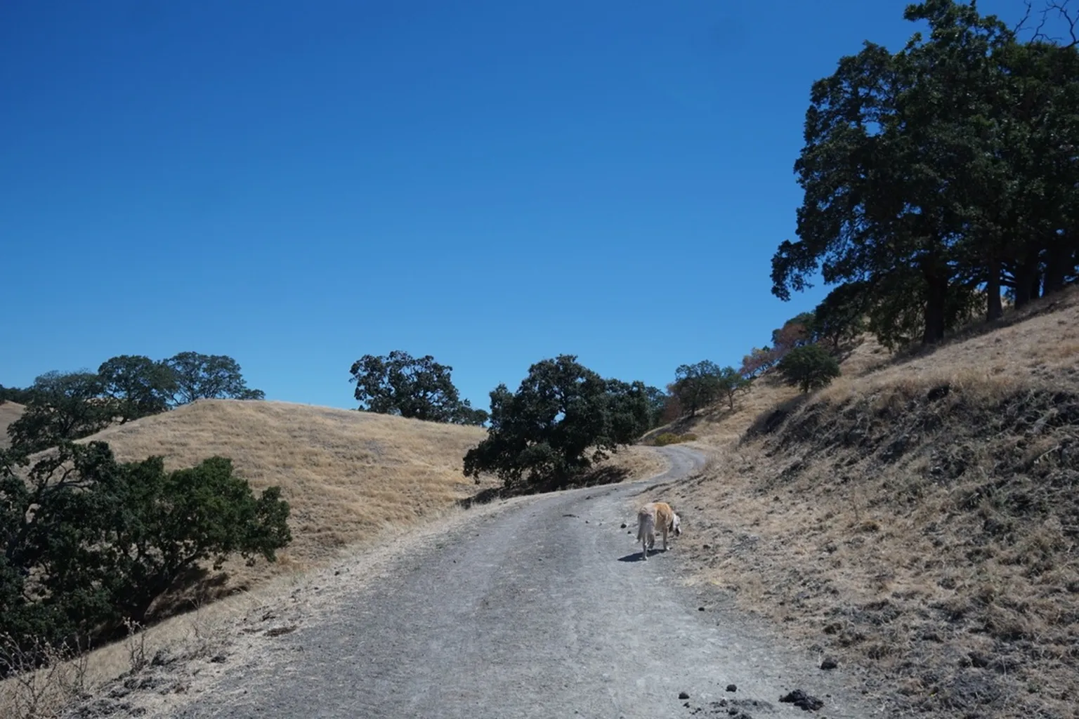Diablo Foothills Regional Park in Walnut Creek, California