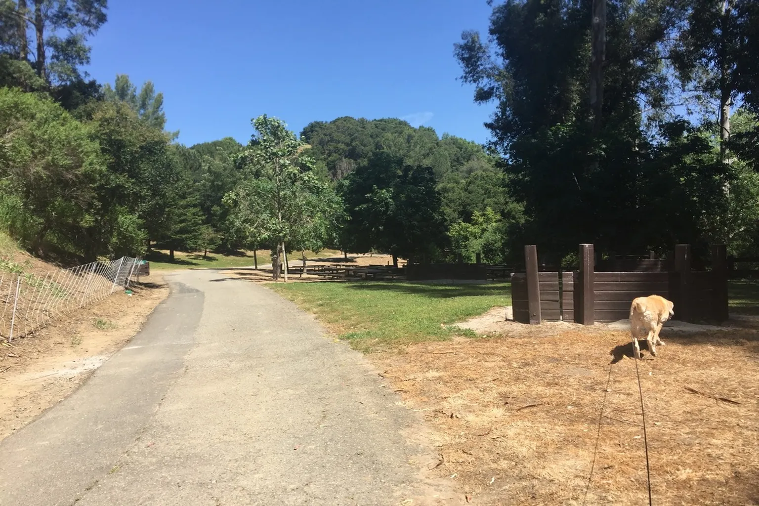 Cull Canyon Regional Park in Castro Valley, California - Main Image