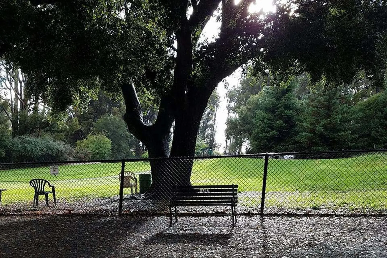 Earl Warren Dog Park in Castro Valley, California