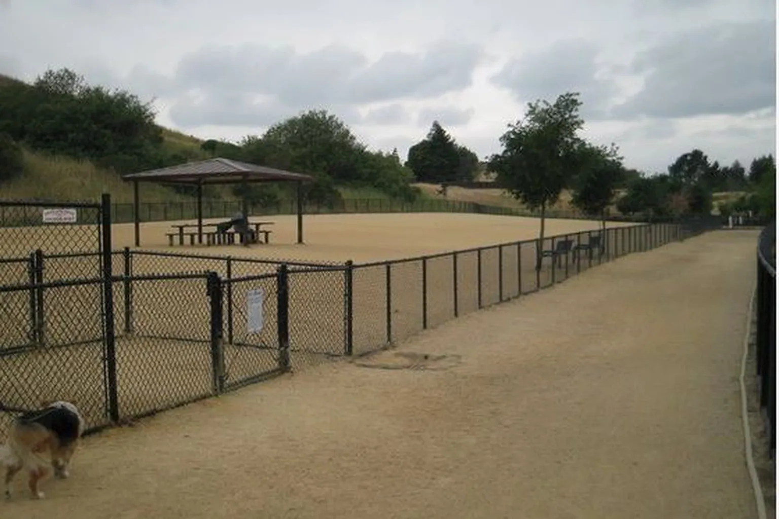 Memorial Dog Park in San Ramon, California