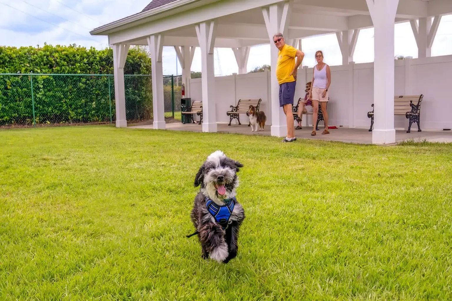 Mulberry Dog Park in The Villages, Florida